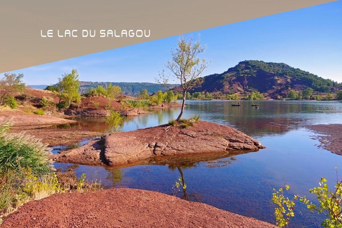 T1, Studieux Et Sportif - La Conciergerie Martinkey's